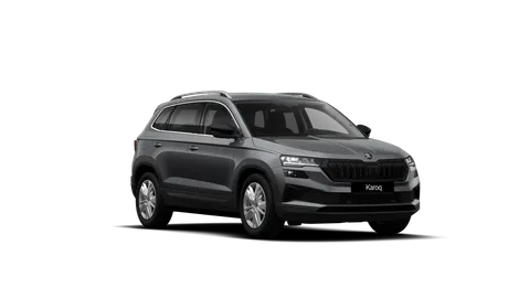 Skoda Karoq 4x4 Selection TDI DSG