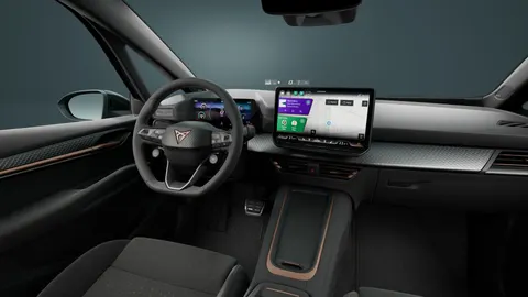 Cupra Born ENDURANCE 79/84 170kW/231PS