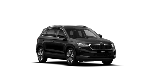Skoda Karoq 4x4 Selection TDI DSG